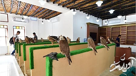 بهترین تفریحات قطر, موزه ملی قطر, پارک های قطر